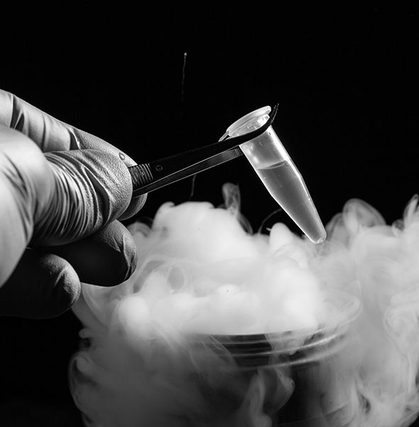 Cov Immagine inquinante