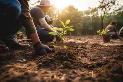 Hfiltration-piantumazione hfiltration-piantumazione